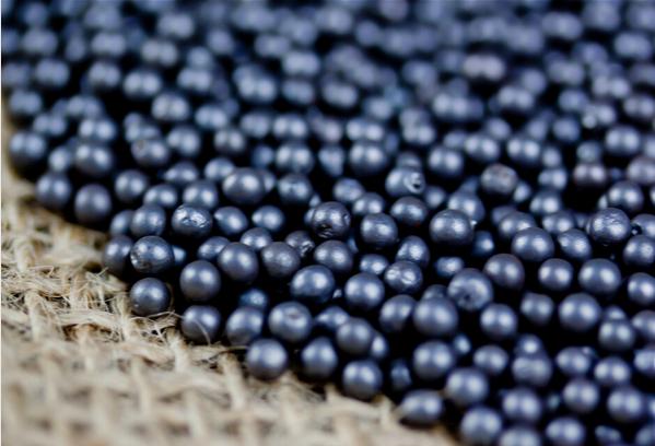 ������Ј��Б��÷�������Щ��